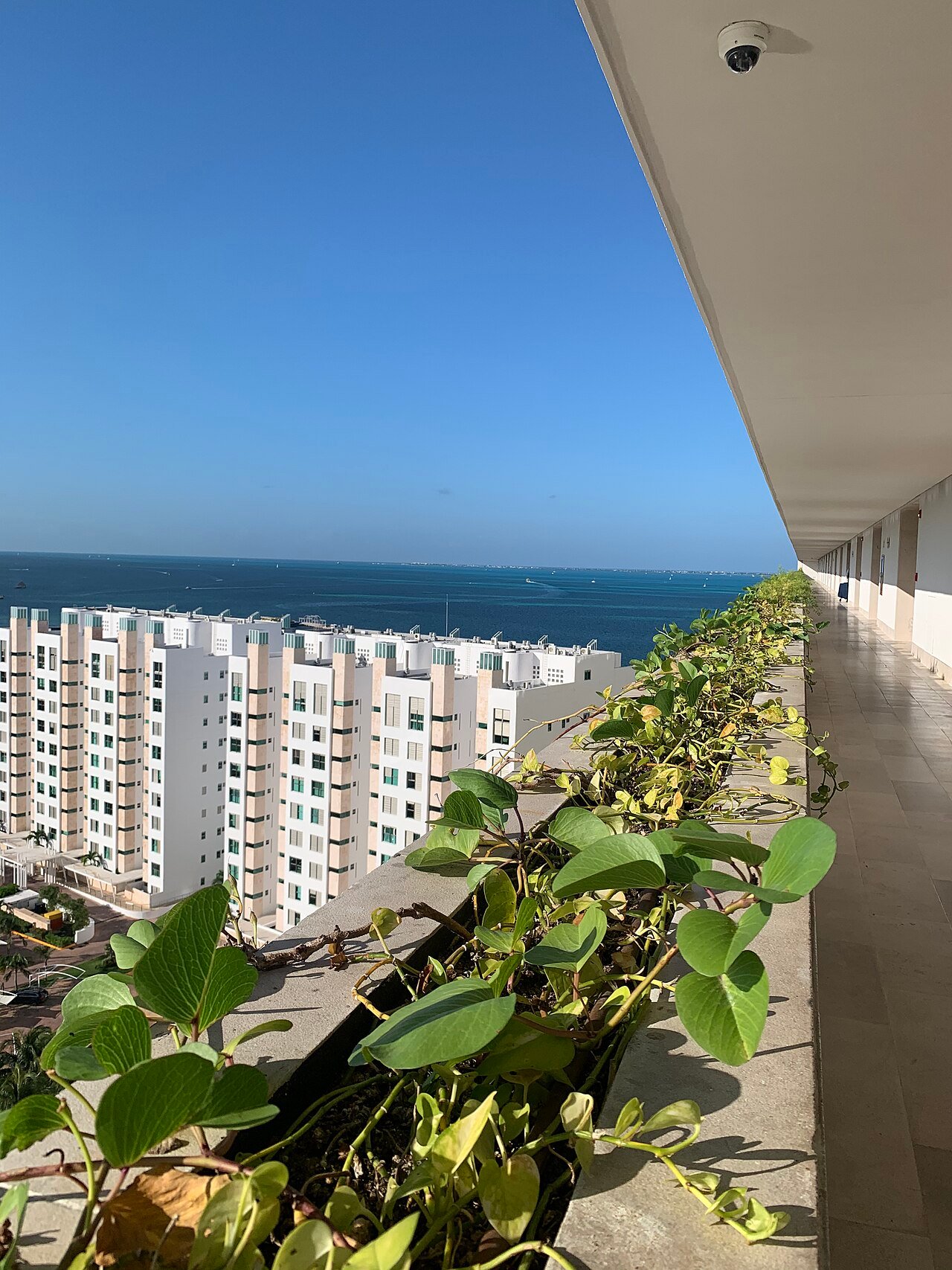 All-inclusive resort grounds in Cancun, Mexico