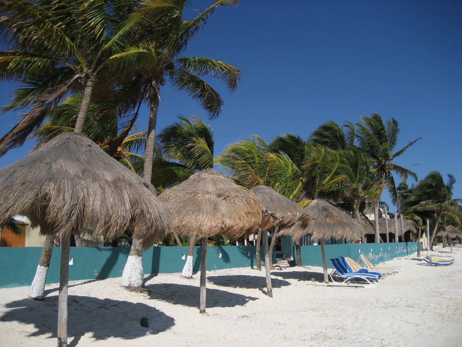 Beach at Punta Sam in the Costa Mujeres corridor, Quintana Roo, Mexico