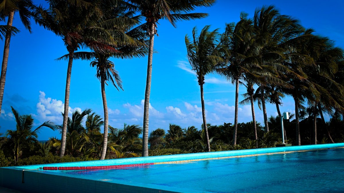 Resort swimming pool surrounded by palm trees in Costa Mujeres