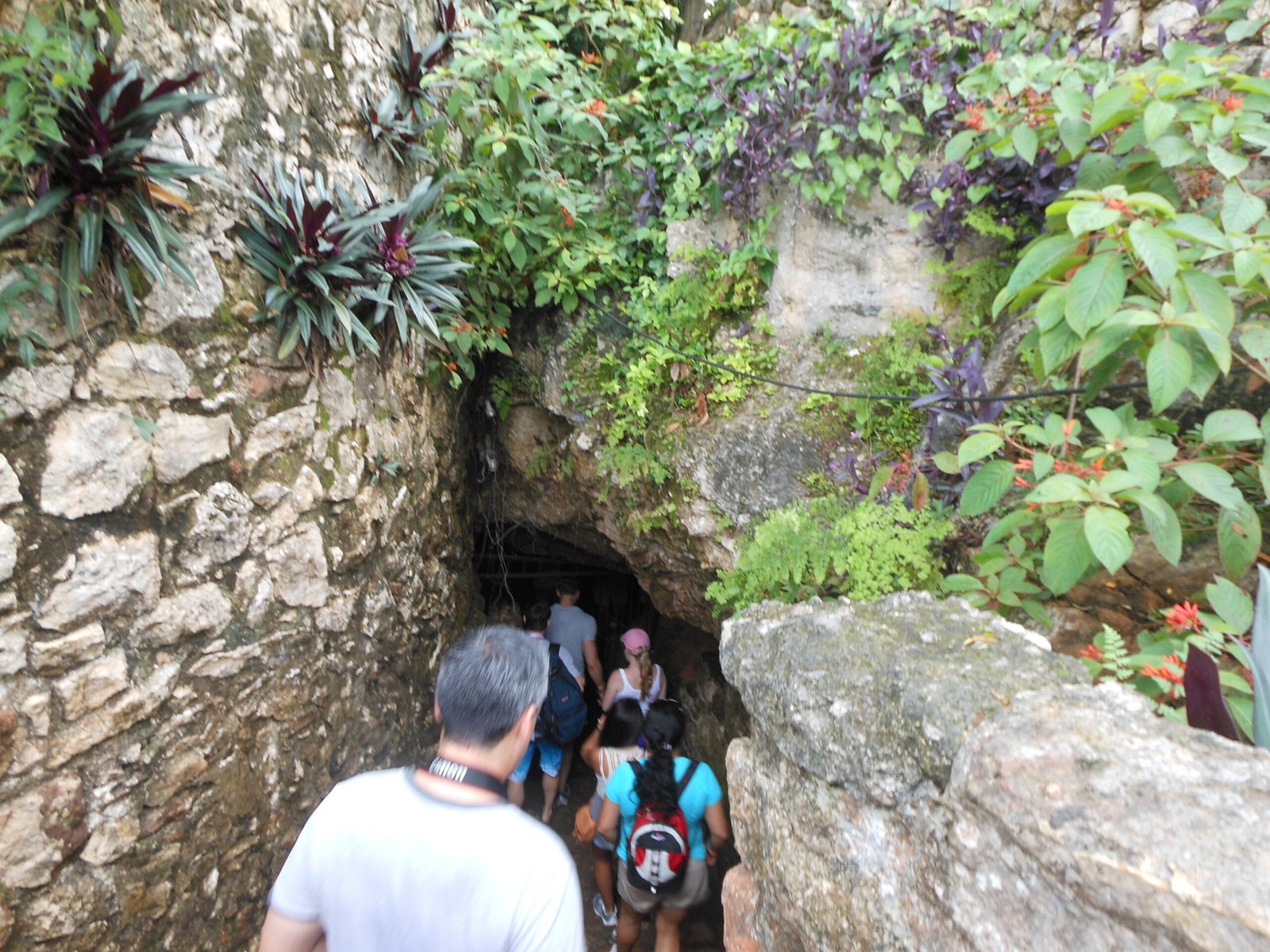 Cenote Zací swimming hole in Valladolid, Yucatán