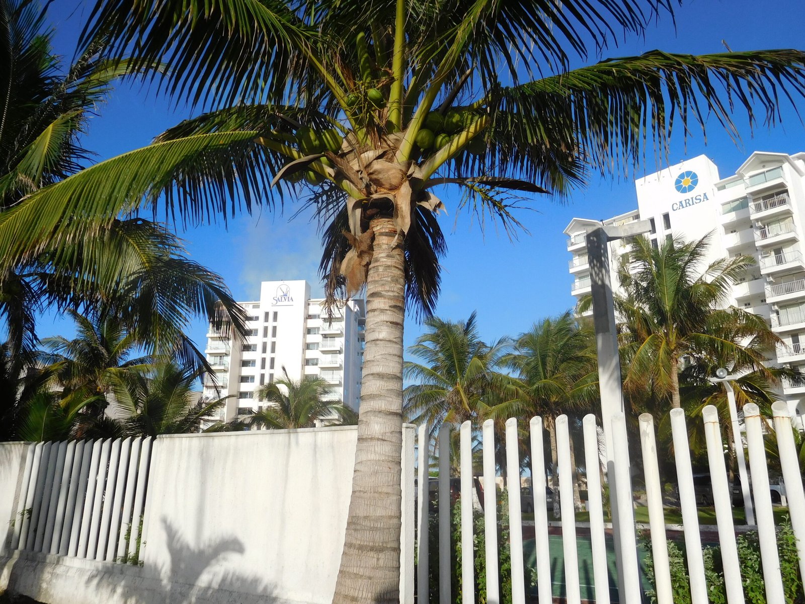 Boulevard Kukulcán in the Hotel Zone of Cancún, Quintana Roo, Mexico