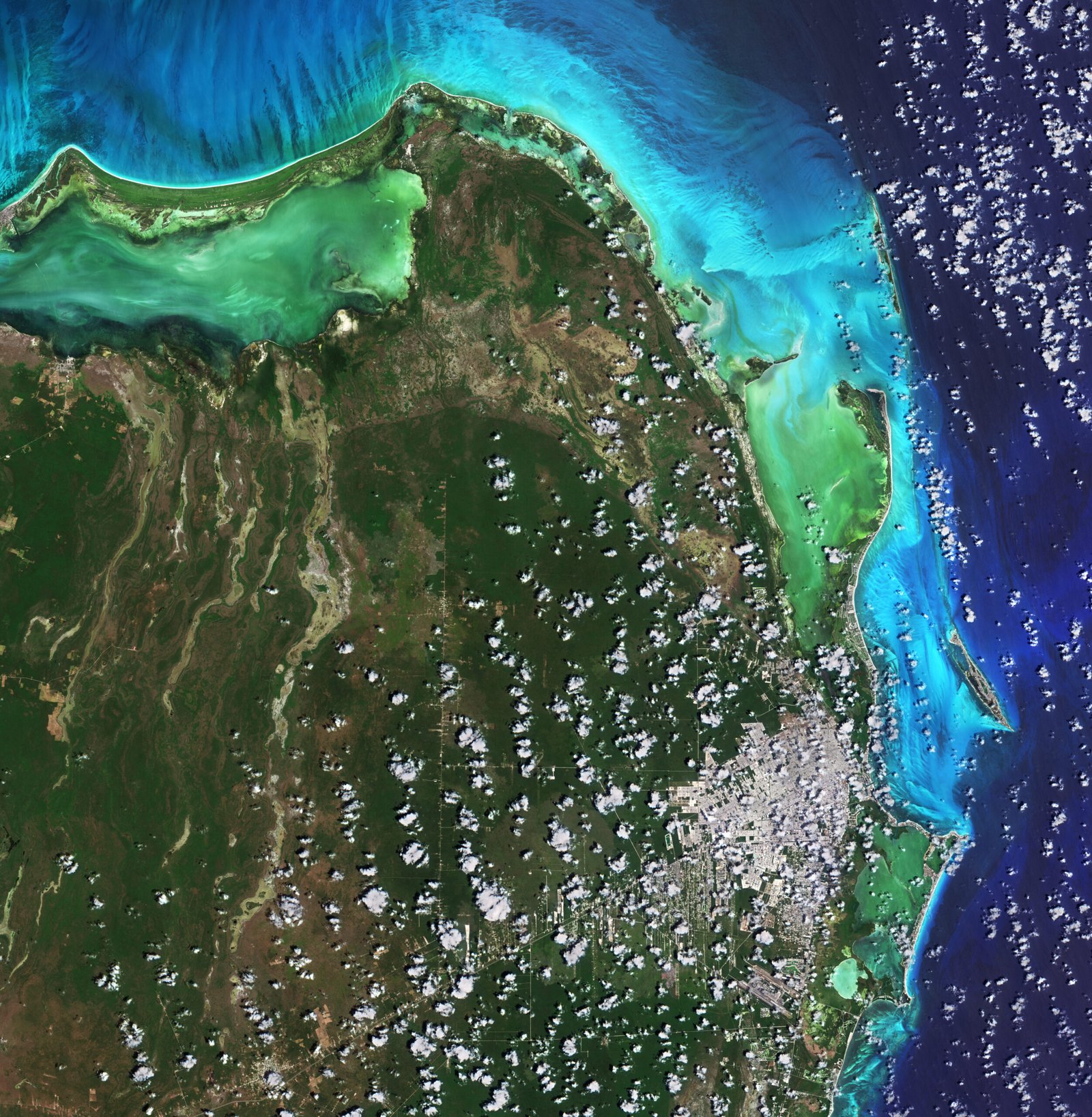 Imagen satelital de la costa de Cancún e Isla Mujeres, Quintana Roo, México