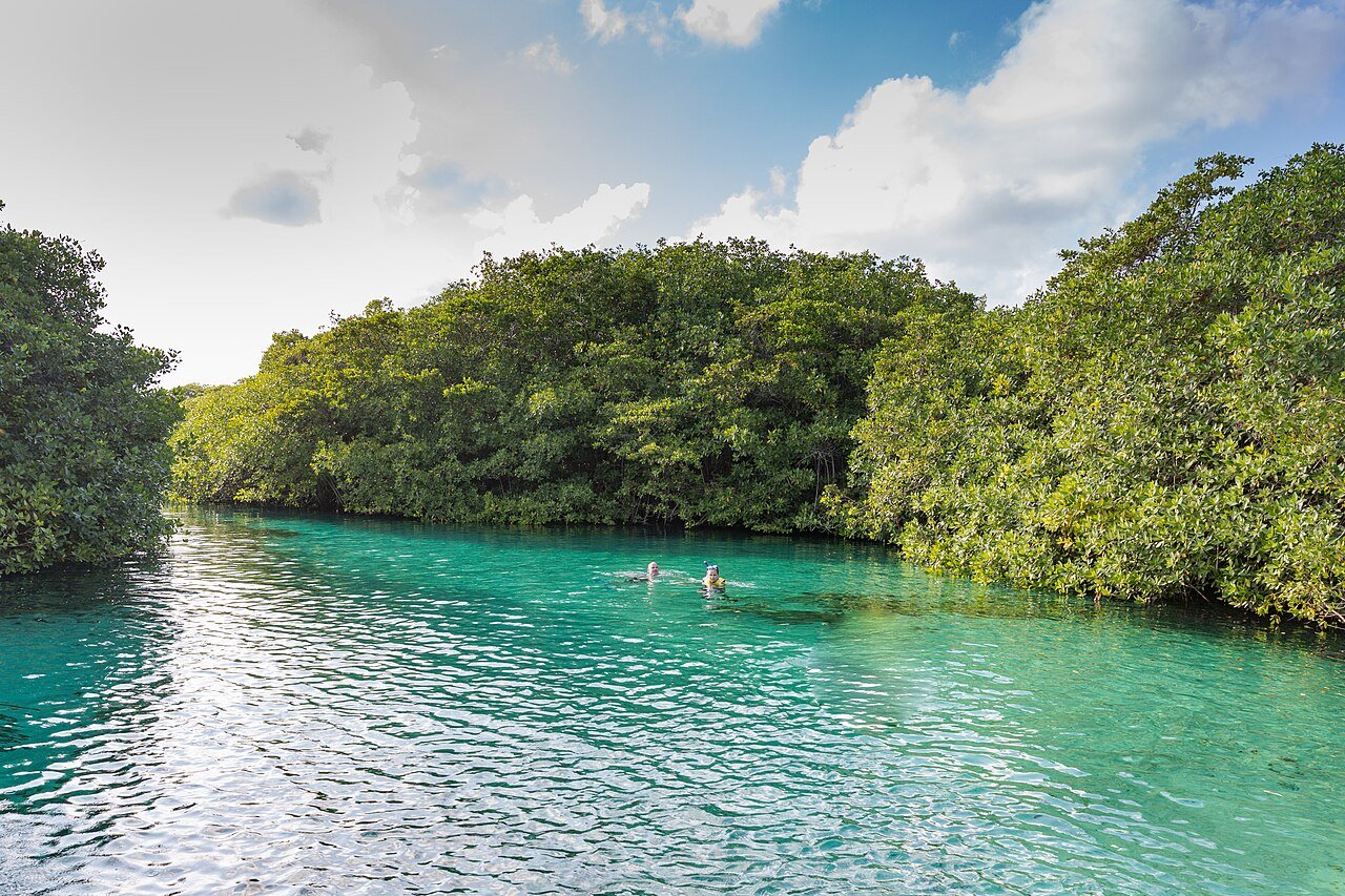 Canal de agua clara entre manglares en Casa Cenote, cerca de Tulum