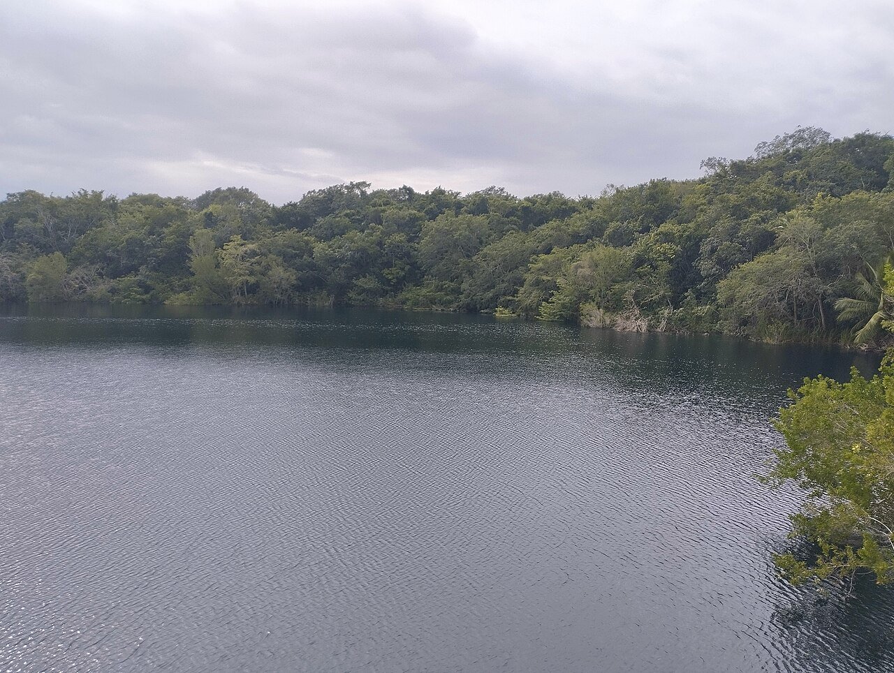 Cenote Azul, cenote abierto cerca de Puerto Morelos, Quintana Roo, México