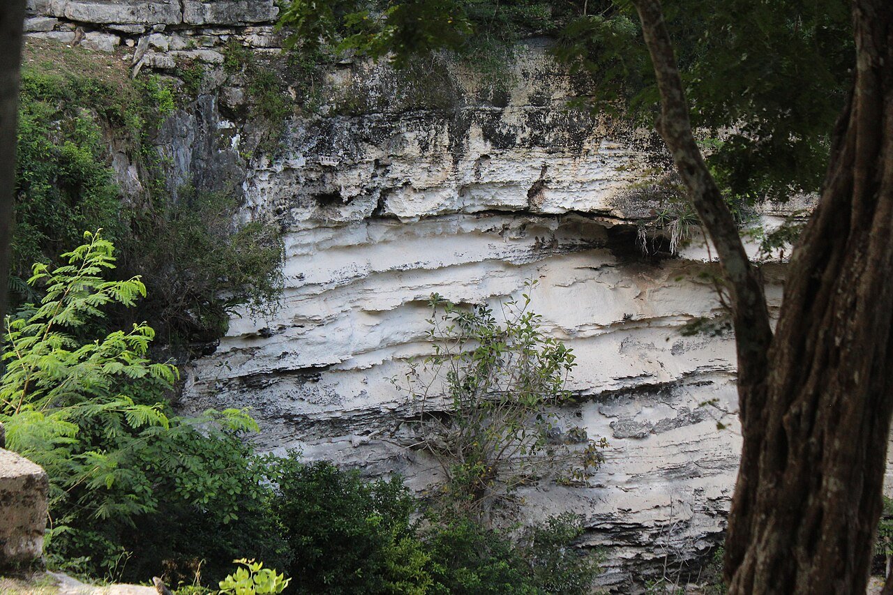 Paredes de roca y vegetación colgante en el cenote Ik Kil, cerca de Chichén Itzá