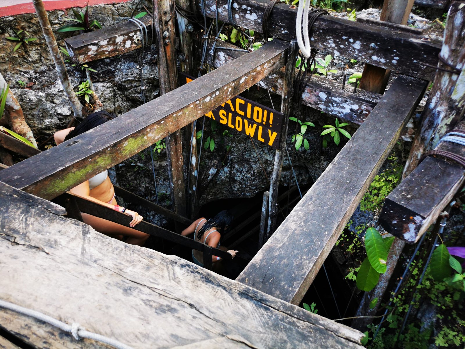 A freshwater cenote near Puerto Morelos, Quintana Roo