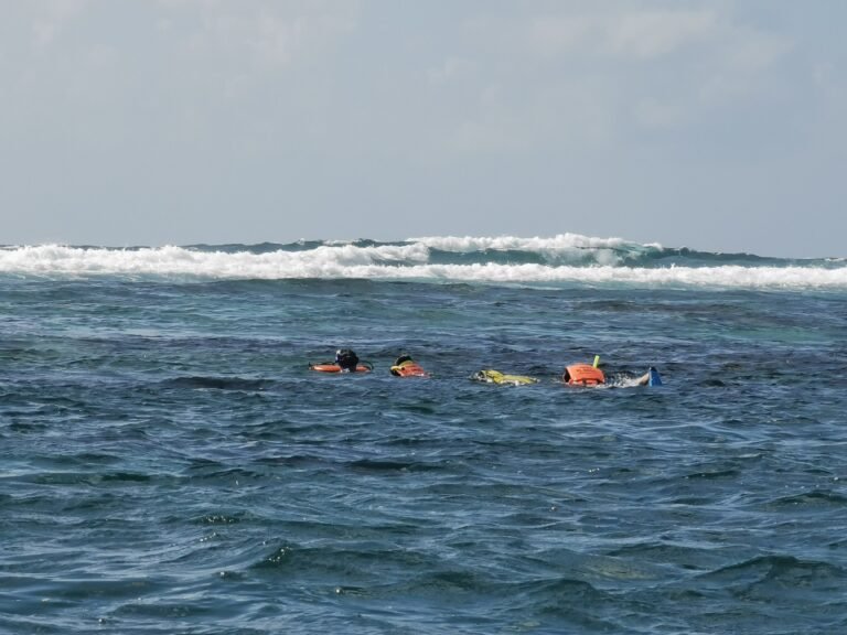 People snorkeling in the reef lagoon of Puerto Morelos, near Dreams Riviera Cancun
