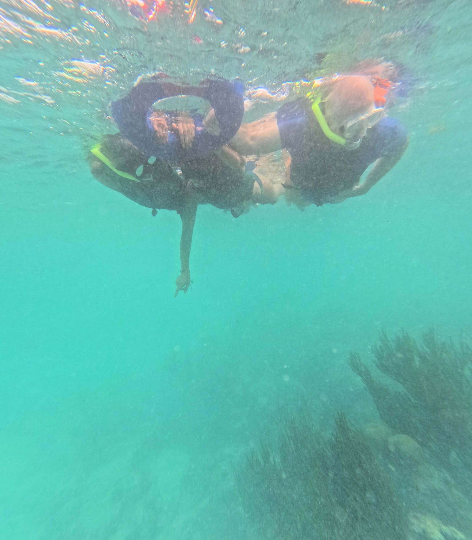 Snorkelers exploring the clear waters off Akumal on the Riviera Maya