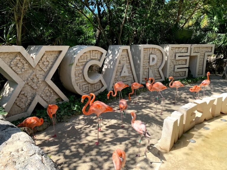 XCARET letter sign at the park entrance with flamingos, Riviera Maya, Mexico