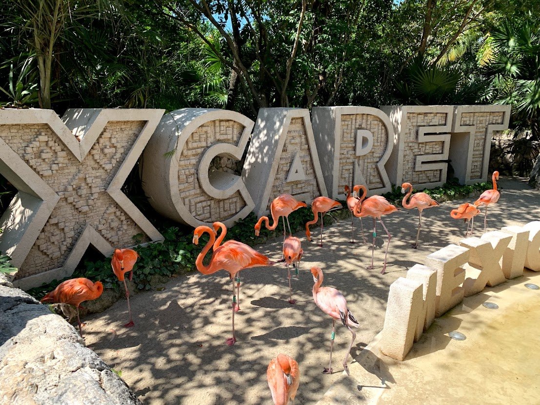 XCARET letter sign at the park entrance with flamingos, Riviera Maya, Mexico