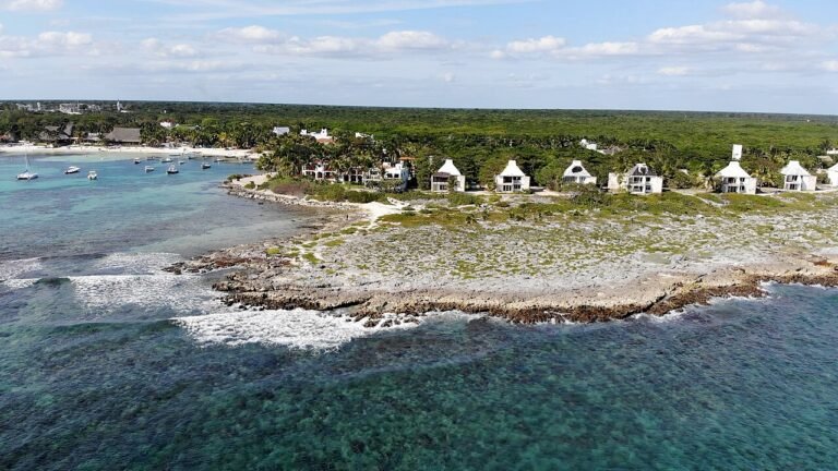Aerial view of the rocky limestone coastline and villas at Akumal, Quintana Roo, Mexico