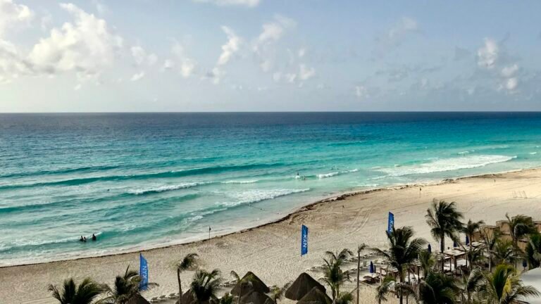 Wide view of blue Caribbean water and palm trees on a beach near Punta Nizuc, Cancún Hotel Zone