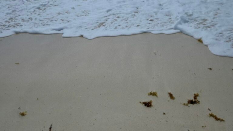 Wave breaking on a sandy beach in Cancún, Quintana Roo