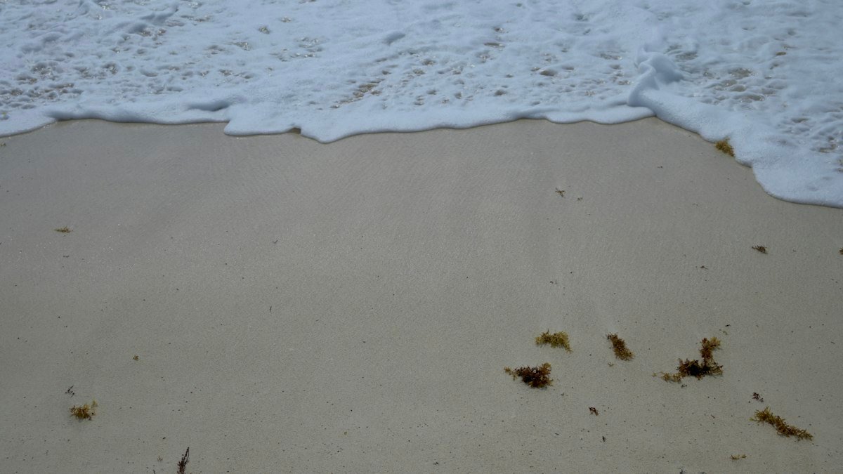Wave breaking on a sandy beach in Cancún, Quintana Roo