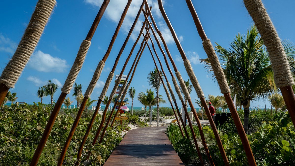 Wooden walkway through palm trees and coastal vegetation in Costa Mujeres, Quintana Roo
