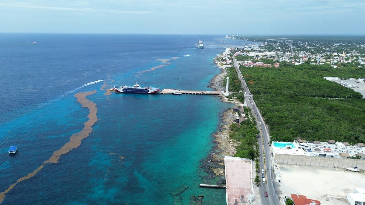 Aerial view of the Cozumel coastline with a long pier and the coastal road
