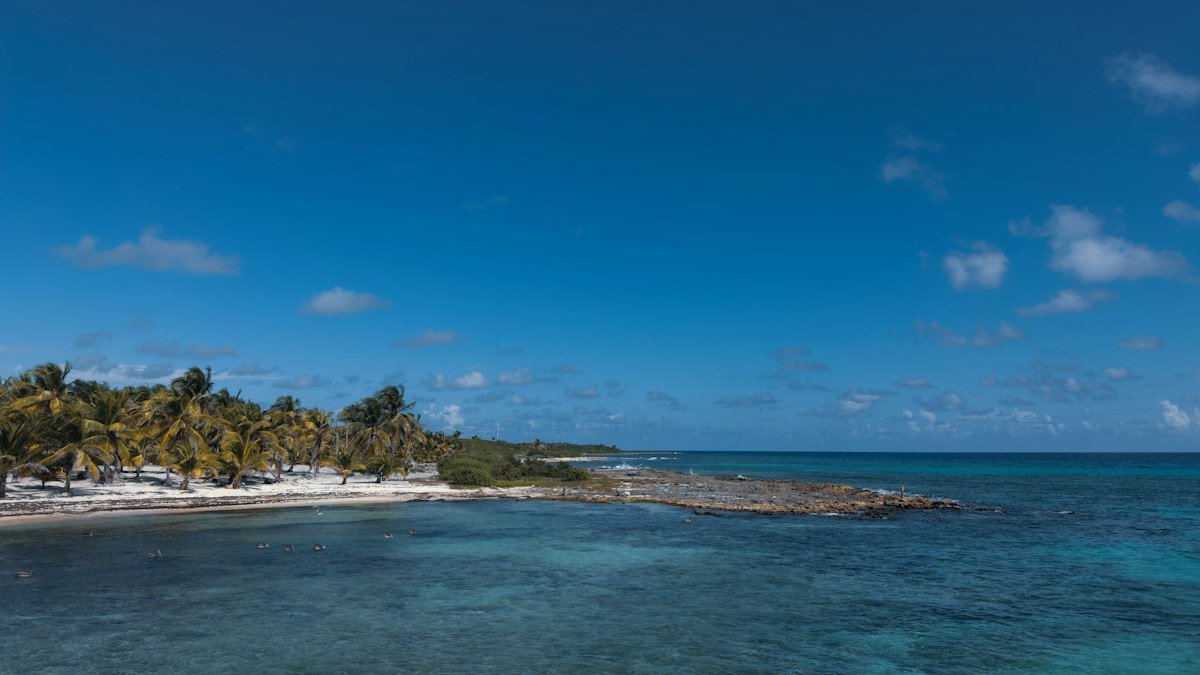 Palm trees over clear blue water on the coast of Mahahual, Costa Maya