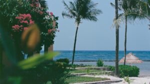 Palm trees and pink flowers overlooking the Caribbean in Puerto Aventuras, Quintana Roo