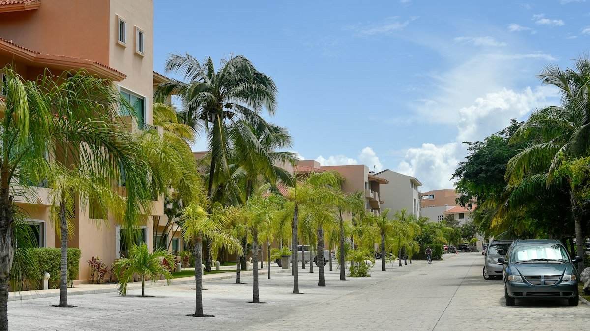 Sunny palm-lined street with low-rise buildings inside Puerto Aventuras, Riviera Maya